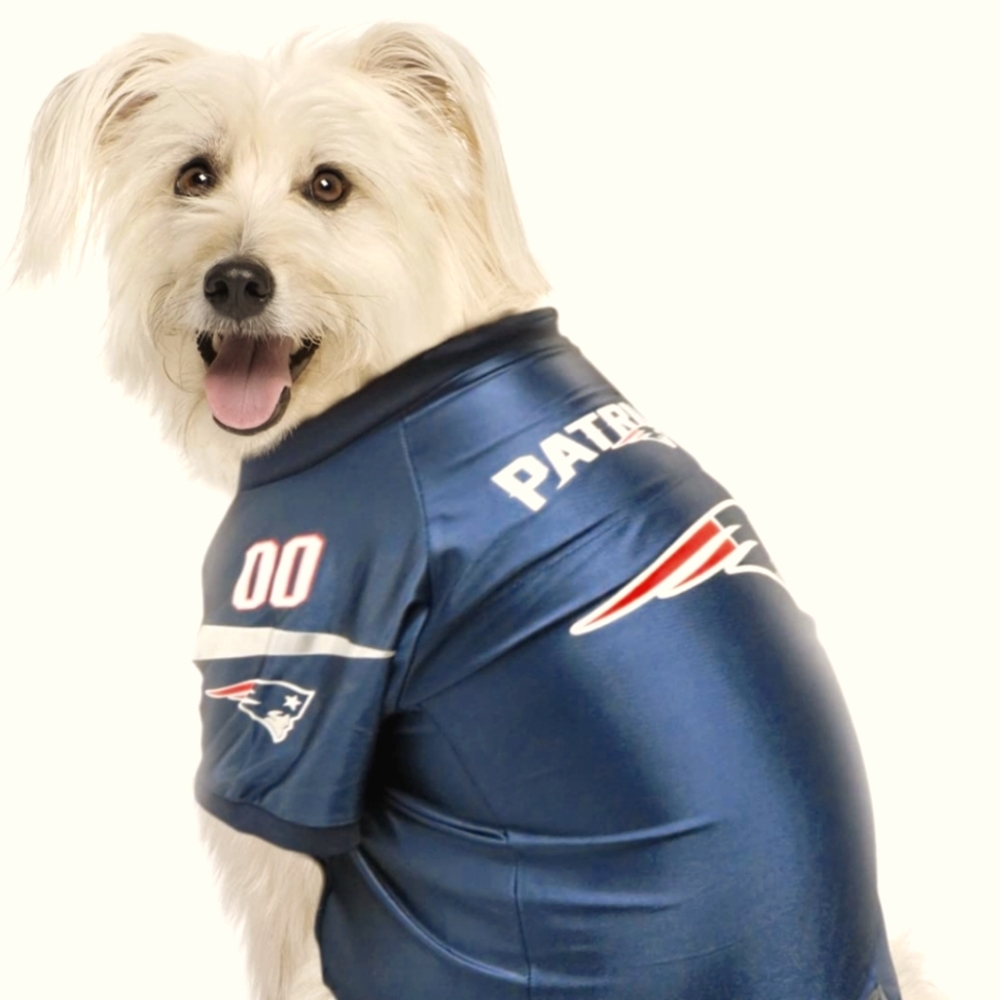 💥💥💥💥NWT NFL PET JERSEY